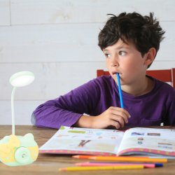 N094 LAMPKA BIURKOWA NA BIURKO LAMPA LED Z TEMPERÓWKĄ - wysyłamy zielony